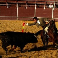 FIESTA DE PRIMAVERA 2010. ROMERIA, TOROS Y ZARZUELA