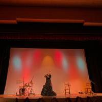 Noche de Copla y Flamenco 