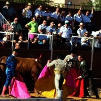 FIESTA DE PRIMAVERA 2010. ROMERIA, TOROS Y ZARZUELA