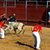 GRAND PRIX. FERIA 2010