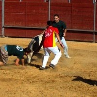 GRAND PRIX. FERIA 2010