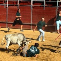 GRAND PRIX. FERIA 2010