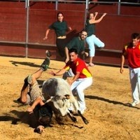 GRAND PRIX. FERIA 2010