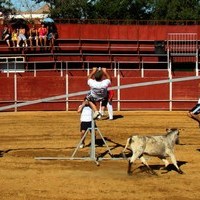 GRAND PRIX. FERIA 2010