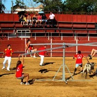 GRAND PRIX. FERIA 2010