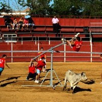 GRAND PRIX. FERIA 2010