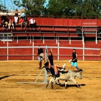 GRAND PRIX. FERIA 2010