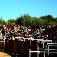 GRAND PRIX. FERIA 2010