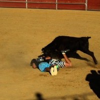 GRAND PRIX. FERIA 2010