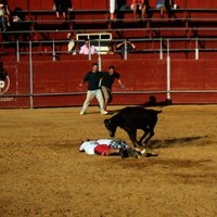 GRAND PRIX. FERIA 2010