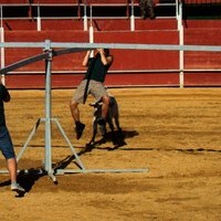 GRAND PRIX. FERIA 2010