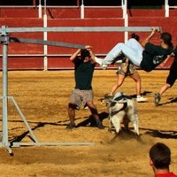 GRAND PRIX. FERIA 2010