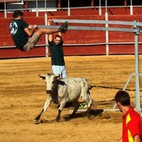 GRAND PRIX. FERIA 2010