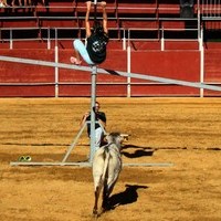 GRAND PRIX. FERIA 2010