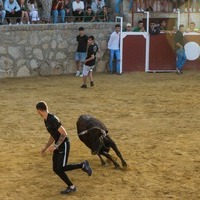 Feria 2022