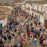 LI Fiesta de Primavera 