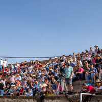 LI Fiesta de Primavera 