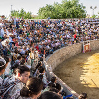 LI Fiesta de Primavera 