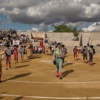 GALERÍA FOTOGRÁFICA DE LA CORRIDA DE TOROS DE LA 52ª FIESTA DE PRIMAVERA