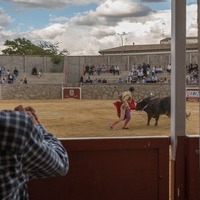 GALERÍA FOTOGRÁFICA DE LA CORRIDA DE TOROS DE LA 52ª FIESTA DE PRIMAVERA