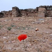 PRIMAVERA EN LOS HITOS