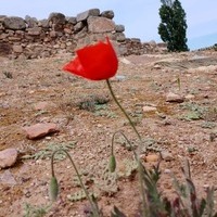 PRIMAVERA EN LOS HITOS