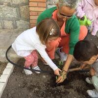 SEMANA DEL MEDIOAMBIENTE V