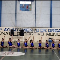 CLAUSURA ESCUELA MUNICIPAL DE GIMNASIA RÍTMICA