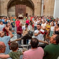 BAJADA DEL STMO. CRISTO DEL OLVIDO