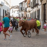 ENCIERRO INFANTIL 2023