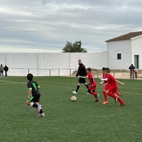 TORNEO FÚTBOL 8. BENJAMINES 