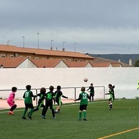 TORNEO FÚTBOL 8. BENJAMINES 