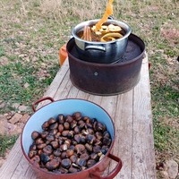 FIESTA DEL OTOÑO EN LOS HITOS