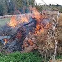 FIESTA DEL OTOÑO EN LOS HITOS