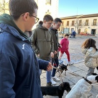 BENDICIÓN DE ANIMALES 