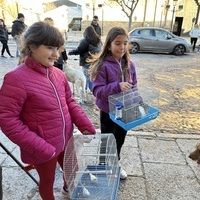 BENDICIÓN DE ANIMALES 