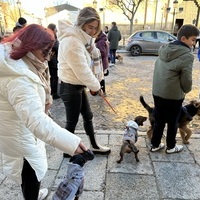 BENDICIÓN DE ANIMALES 