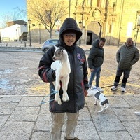 BENDICIÓN DE ANIMALES 