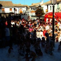 PARQUE INFANTIL Y CUCAÑA. FERIA 2010