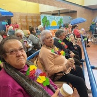 CARNAVAL EN EL CENTRO DE DÍA 