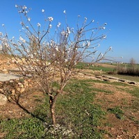 NATURALEZA EN LOS HITOS