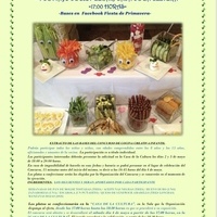 CONCURSO DE COCINA CREATIVA