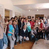 VISITAS AL YACIMIENTO Y MUSEO DE ARISGOTAS