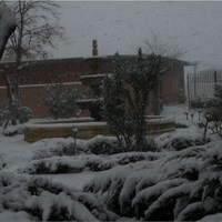 SAN ANTON 2010. NEVADAS Y MIGAS