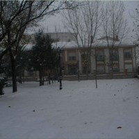 SAN ANTON 2010. NEVADAS Y MIGAS