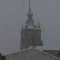 SAN ANTON 2010. NEVADAS Y MIGAS