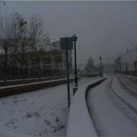 SAN ANTON 2010. NEVADAS Y MIGAS