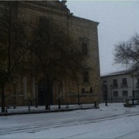 SAN ANTON 2010. NEVADAS Y MIGAS