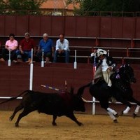 TOROS DE LA XL FIESTA DE PRIMAVERA