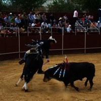 TOROS DE LA XL FIESTA DE PRIMAVERA